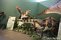 VBS_1065 - Dinosauri. Terra dei giganti